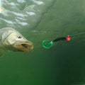 Dr.Fish – Lot de 6 Têtes de Jigs de Pêche 1/4 oz | Têtes Rondes Ultra Aiguisées