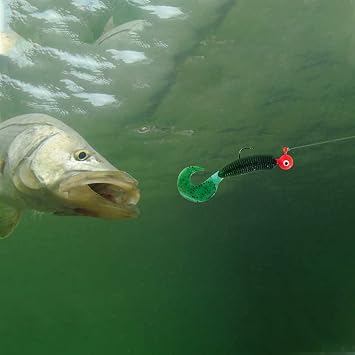 Dr.Fish – Lot de 6 Têtes de Jigs de Pêche 1/4 oz | Têtes Rondes Ultra Aiguisées